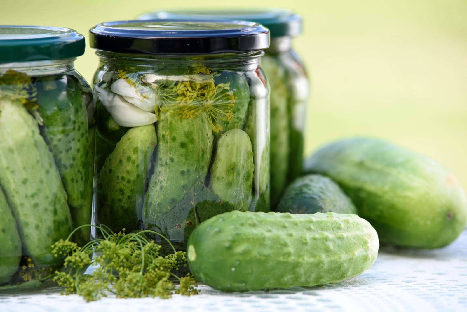 Jars of homemade dill pickles beside fresh cucumbers