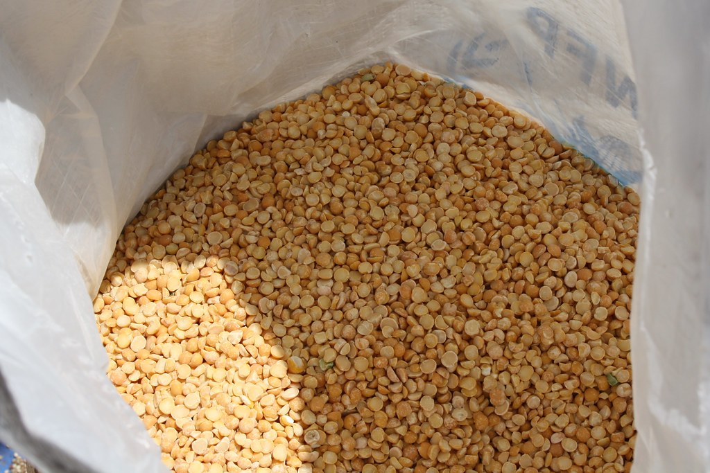 An open sack of dry split peas, a cheap high-calorie storable food