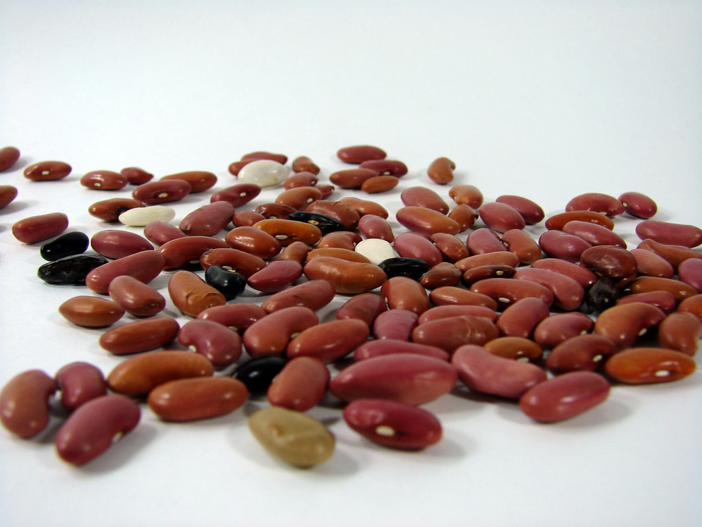 Dried beans and stored protein
