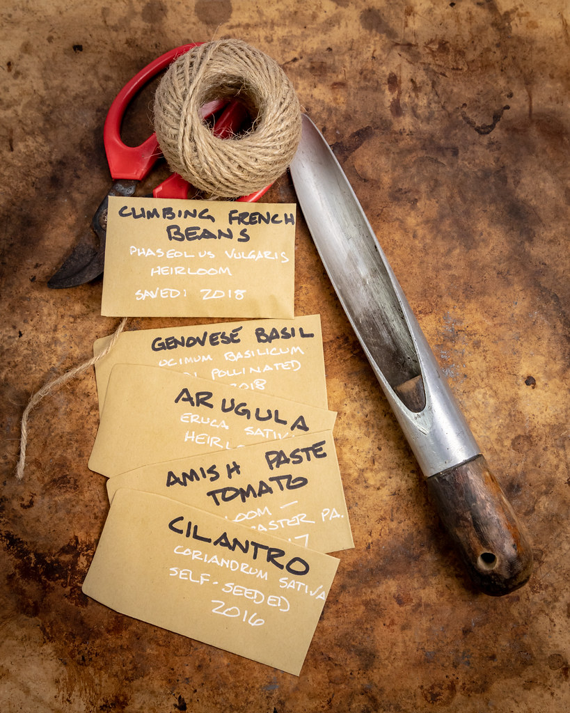 Hand-labeled paper seed packets of saved heirloom beans, basil, and tomato seeds beside a dibber and twine
