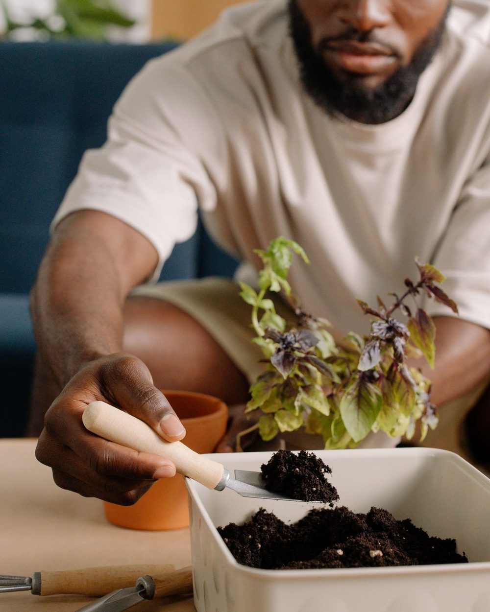 A gardener scooping soil with a hand trowel, more garden tools laid out on the bench